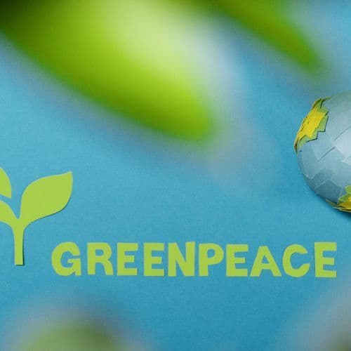 Greenpeace Protest: Dramatic Detentions in Brussels