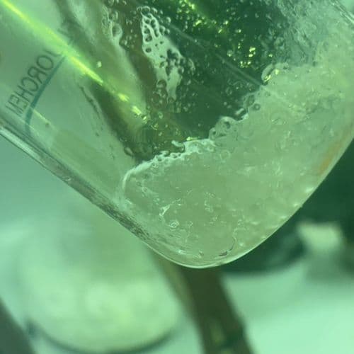 Study Finds Overlooked 'Forever Chemicals' Widespread in New Jersey Tap Water and Bottled Beverages