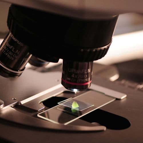 10 years of Jackson Lab science shows the lifesaving power of genome-matched cancer treatment