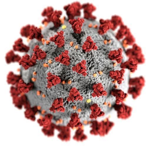 Two more reasons to get a flu shot – Revere Journal