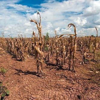 JD-S accuses K’taka govt of diverting Krishna water to Telangana amid drought
