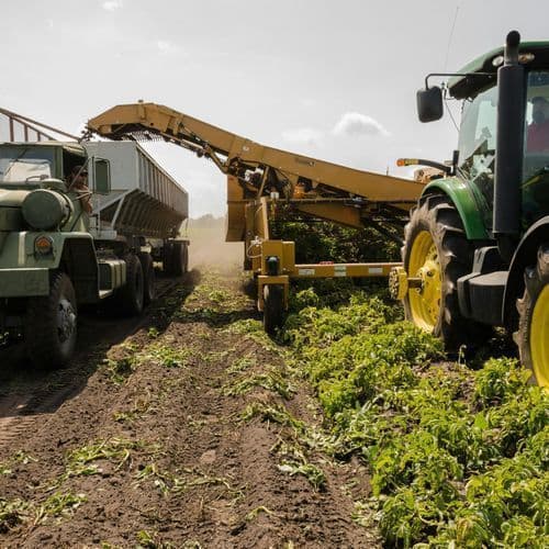 What Hungarian Farmers Feared Happened: the Yield of One of the Most Important Crops Plummeted.