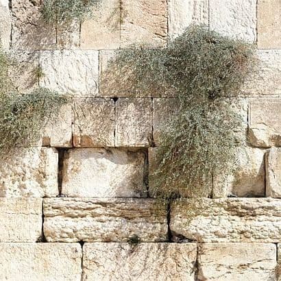 Ahead of Israel vote, desert town becomes frontline against ultra-Orthodox expansion
