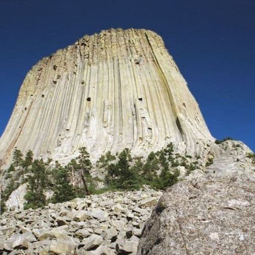 Epic Bison Stampede in Grand Teton National Park