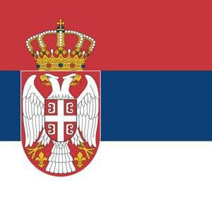 TOK: Seven Suspects Arrested in the Murders of Milan Stokovic and ŽIvko Bakić