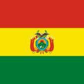 Investment Law Will Not Be Dealt with in This Legislative Period - La Patria Bolivia