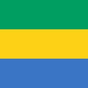 Gabon • Oligui Nguema Faces Risk of Rebellion Within PDG