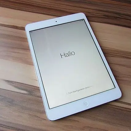 He Steals an iPad in a Car but Forgets to Turn It Off: the Thief Easily Found by the Police Thanks to the Geolocation of the Tablet